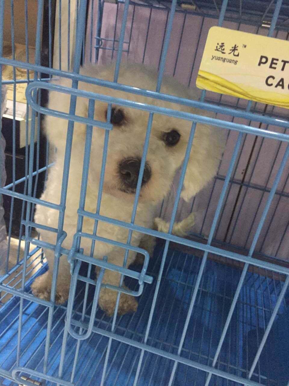  Ϣʾ