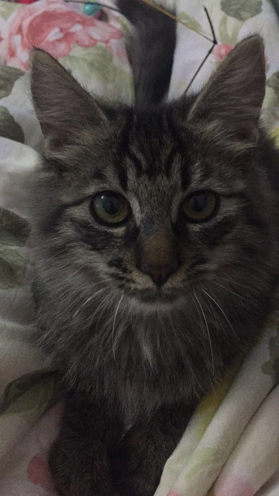  Ϣʾ