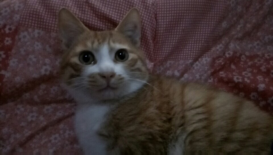 С Ϣʾ