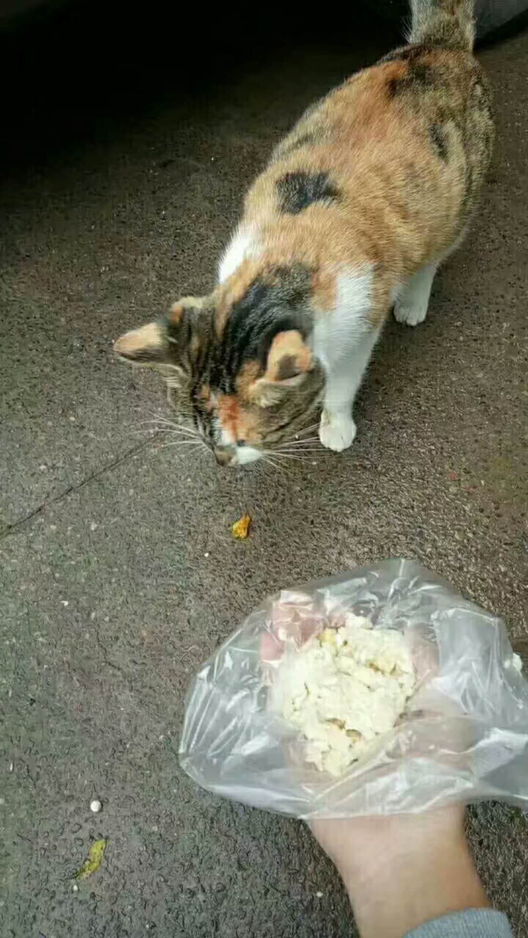  Ϣʾ