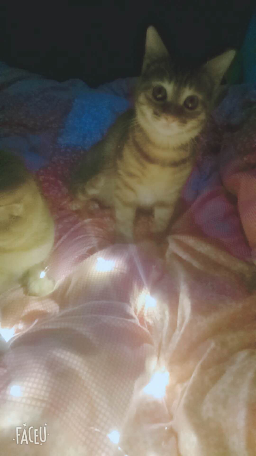С Ϣʾ