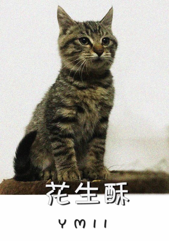  Ϣʾ