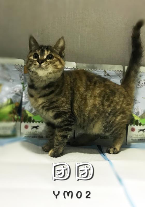  Ϣʾ