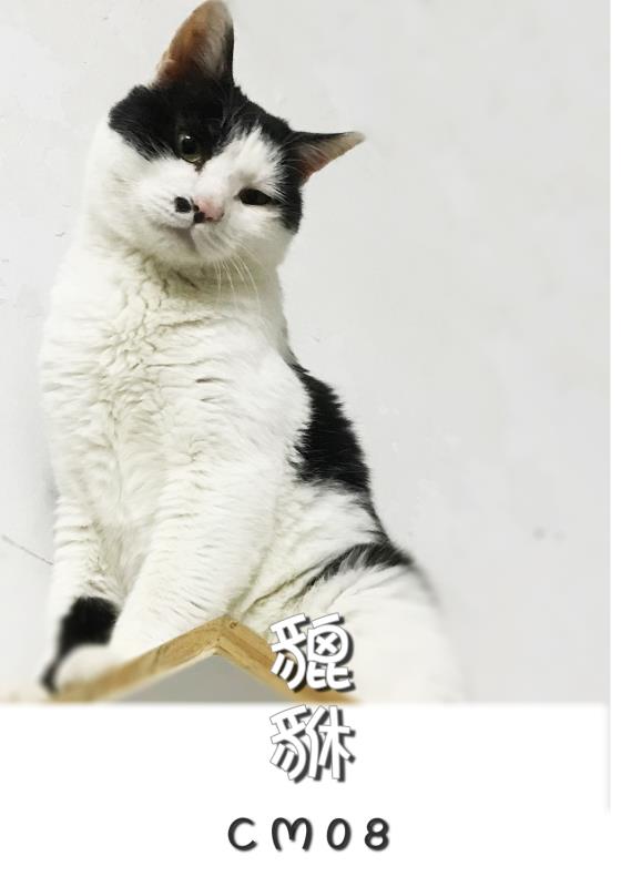  Ϣʾ