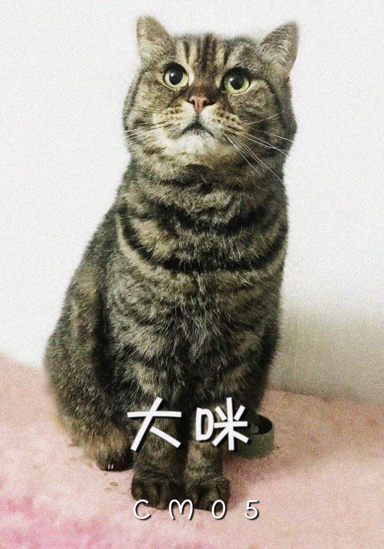  Ϣʾ